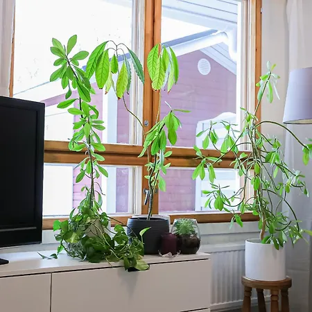 Santa's I By Booklapland Apartament